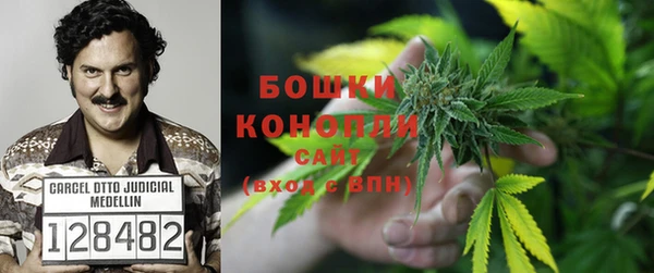 крисы Верея