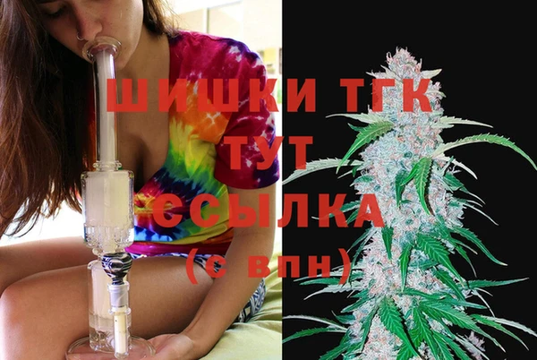 крисы Верея