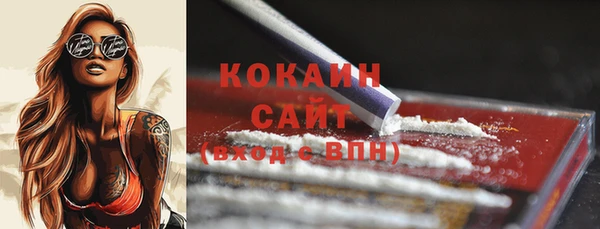 крисы Верея