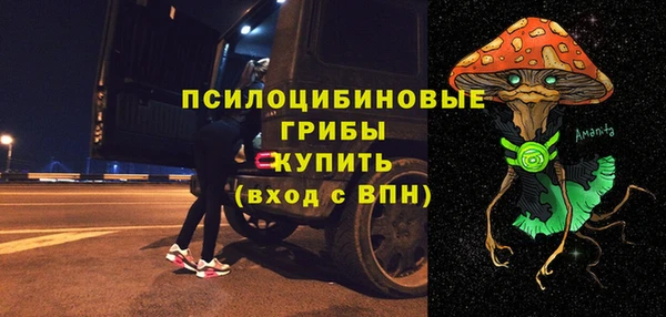 МДПВ Бронницы