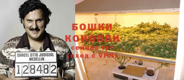МДПВ Бронницы