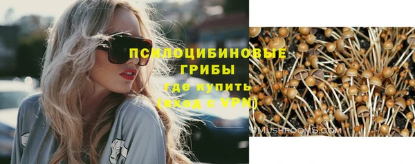 крисы Верея
