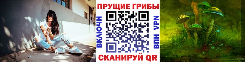 мориарти Telegram  Ветлуга  Галлюциногенные грибы GOLDEN TEACHER  купить  